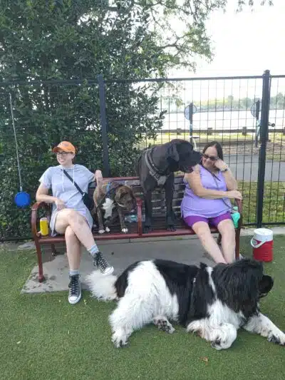 Sgt. Vincent J. Olivia Mini Dog Park - Bayonne, NJ
