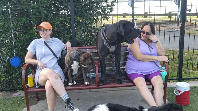 Sgt. Vincent J. Olivia Mini Dog Park - Bayonne, NJ