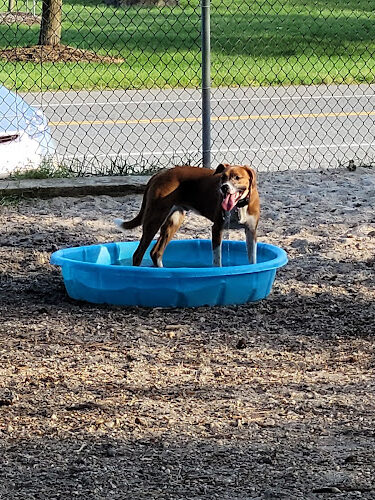 Ocean County Off Leash Dog Area