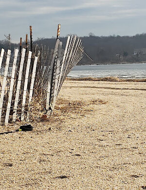 Centre Island Beach