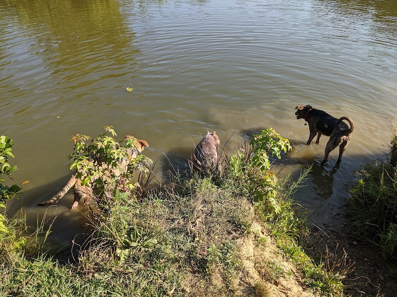 Lums Pond Dog Park - Bear, DE