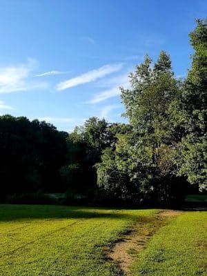 Lums Pond Dog Park