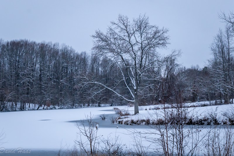 Lums Pond Dog Park - Bear, DE