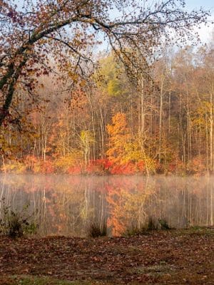 Lums Pond Dog Park