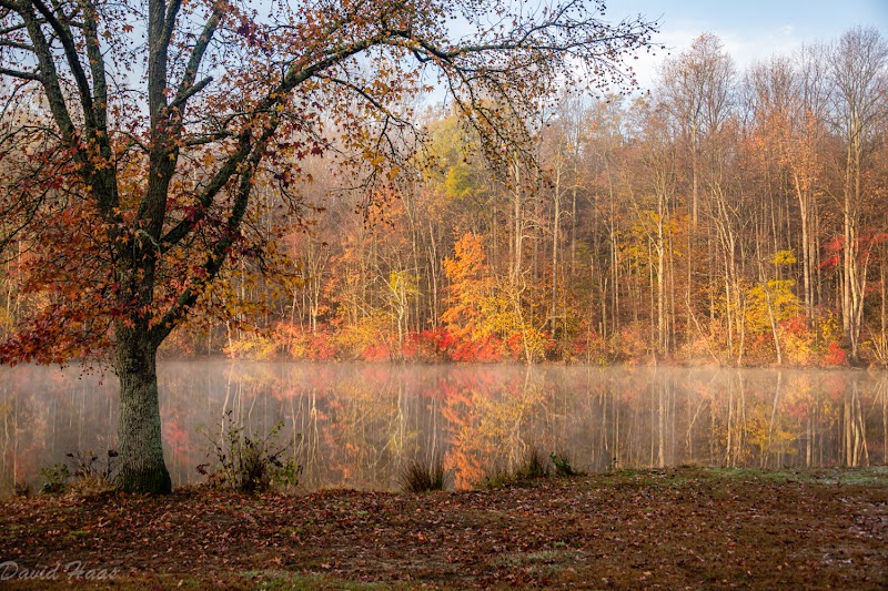Lums Pond Dog Park - Bear, DE