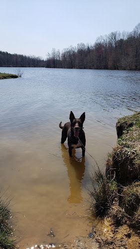Lums Pond Dog Park