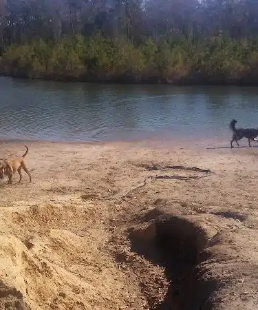 Burton Wells Dog Park
