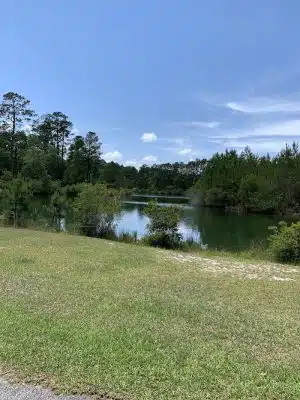Burton Wells Dog Park