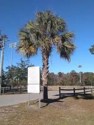 Burton Wells Dog Park