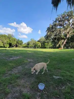 Southside Dog Park