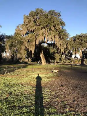 Southside Dog Park