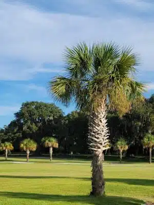 Southside Dog Park
