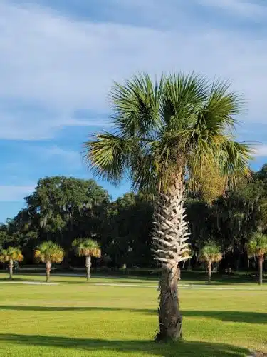 Southside Dog Park