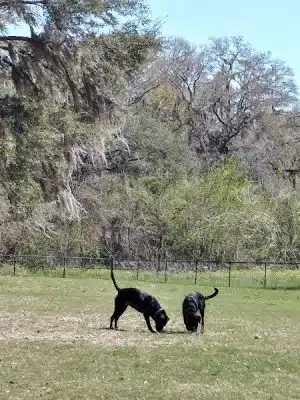 Southside Dog Park