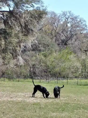 Southside Dog Park