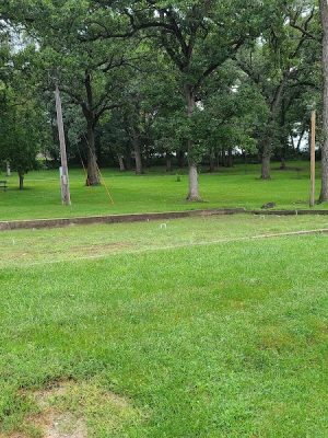 Bibbins Park