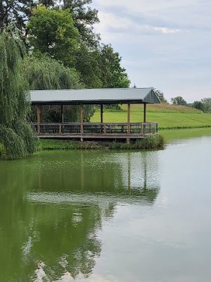 Bibbins Park