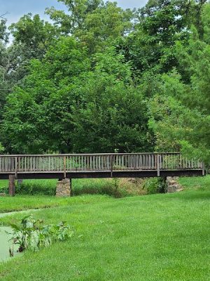 Bibbins Park