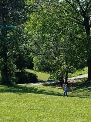 Wilson Park