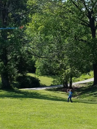 Wilson Park
