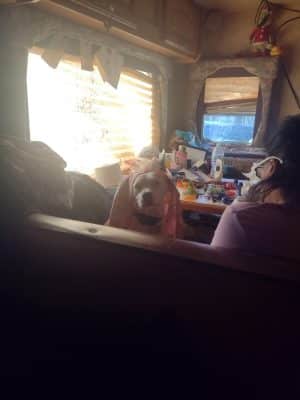 Betty Rv Park