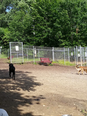 Ma & Pa Dog Park