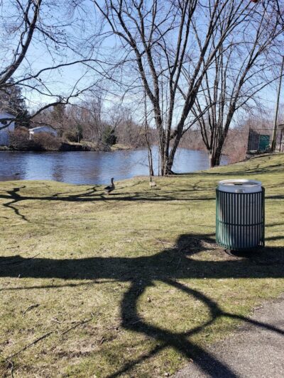 Water Street Park - Belding,