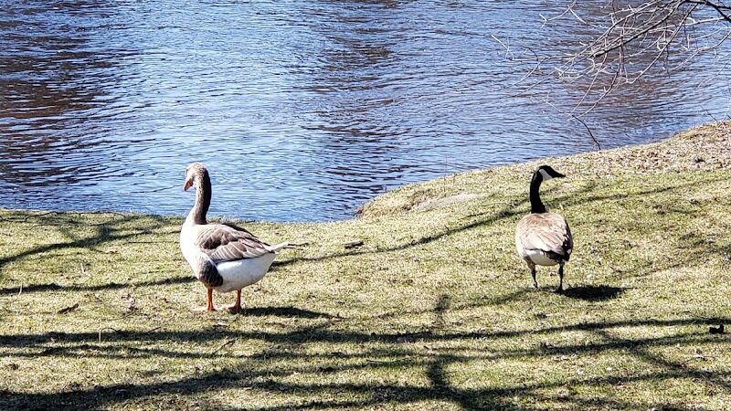 Water Street Park - Belding,