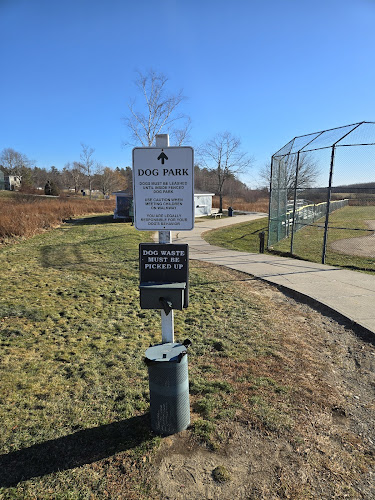 Belfast Dog Park
