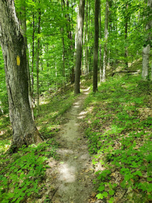 Glacial Hills Hiking & Biking Trails