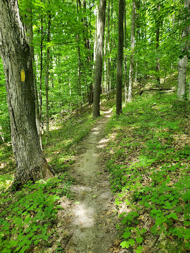 Glacial Hills Hiking & Biking Trails