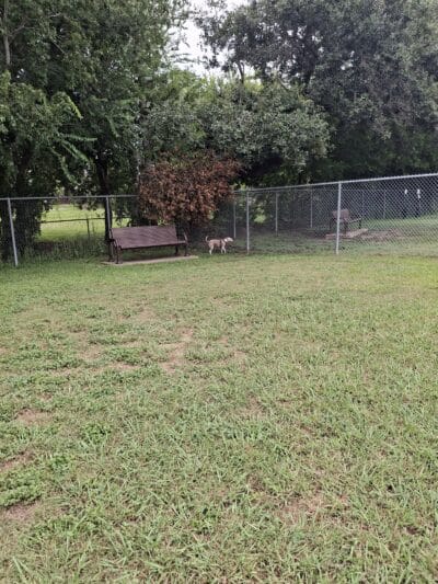 Officer Lucy Dog Park - Bellaire, TX