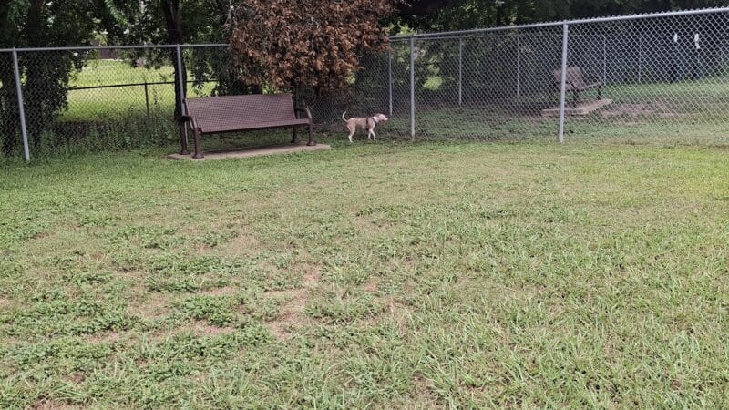 Officer Lucy Dog Park - Bellaire, TX