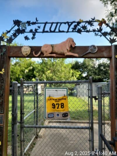 Officer Lucy Dog Park - Bellaire, TX