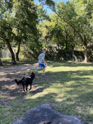 Officer Lucy Dog Park