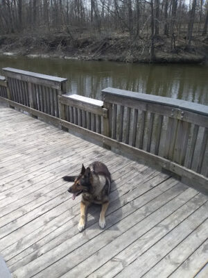 Lower Huron Metropark