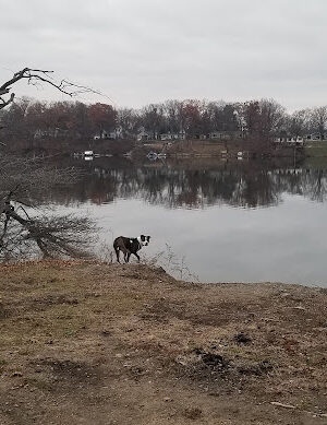 Van Buren Park Beach