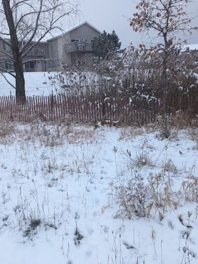 Mossakowski Family Dog Park - Bellevue,
