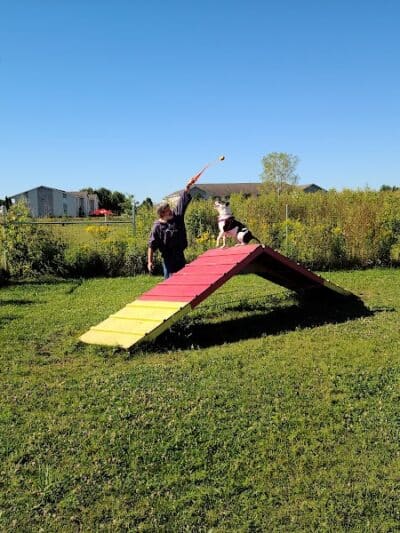 Mossakowski Family Dog Park - Bellevue,