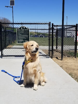 Beardmore Freedom Dog Park