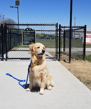 Beardmore Freedom Dog Park