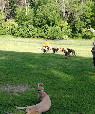 Jewell Dog Park