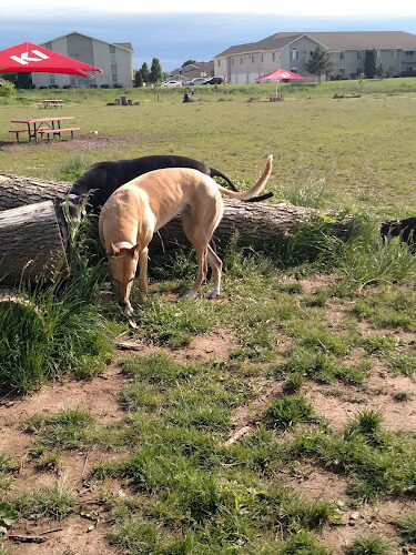 Mossakowski Family Dog Park