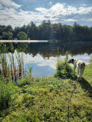 Arcand Park