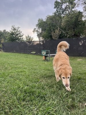 Florence Korostynski Memorial Dog Park