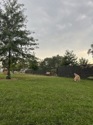 Florence Korostynski Memorial Dog Park