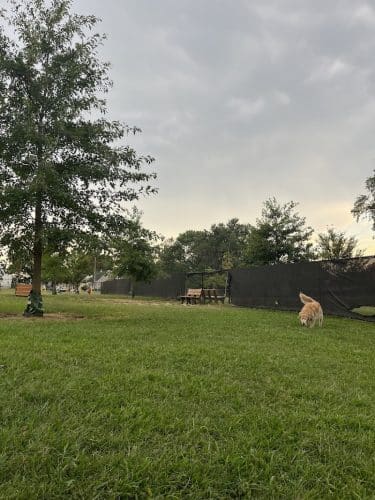 Florence Korostynski Memorial Dog Park