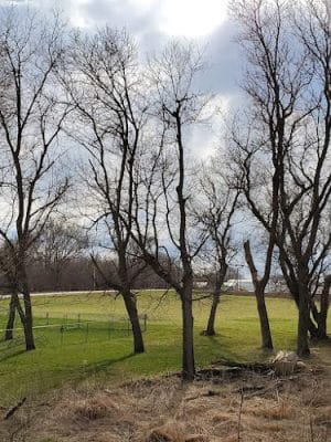 Belmond Dog Park - Belmond, IA