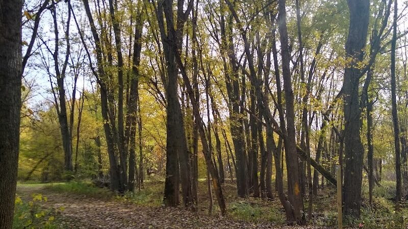 Grand Rogue Park - Belmont, MI