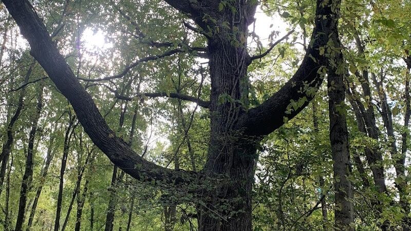 Grand Rogue Park - Belmont, MI